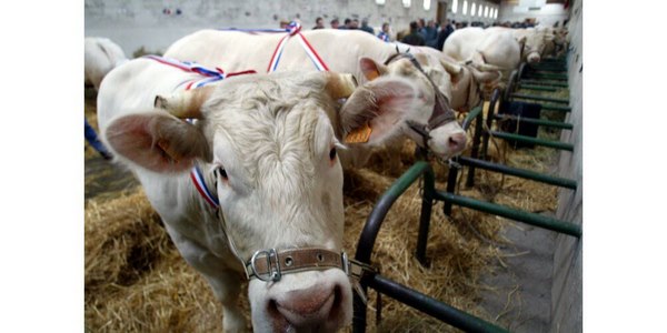 comice agricole de Feurs 2022